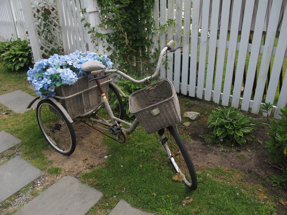Nantucket Tricycle with Baskets and Blue Flowers
